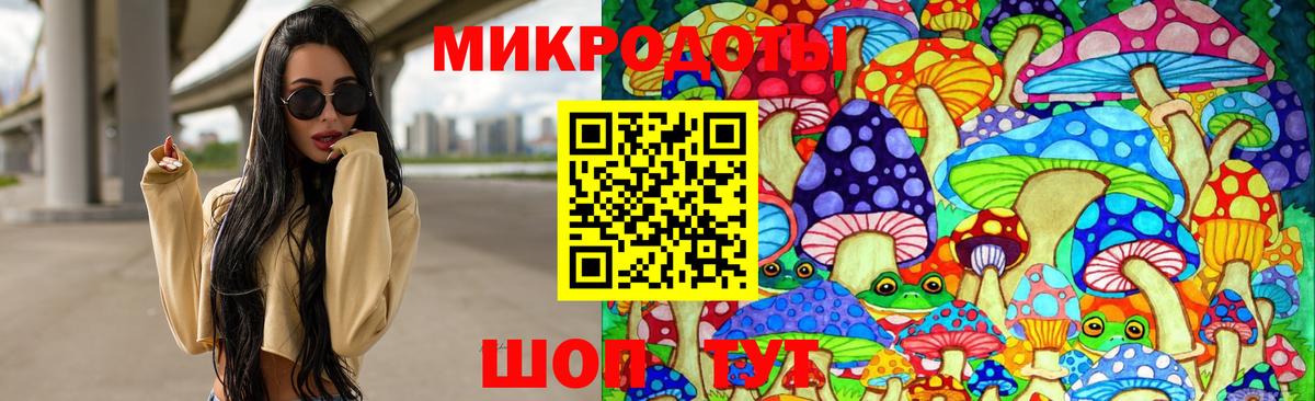 Псилоцибиновые грибы Psilocybine cubensis  Вход с VPN  Кунгур 